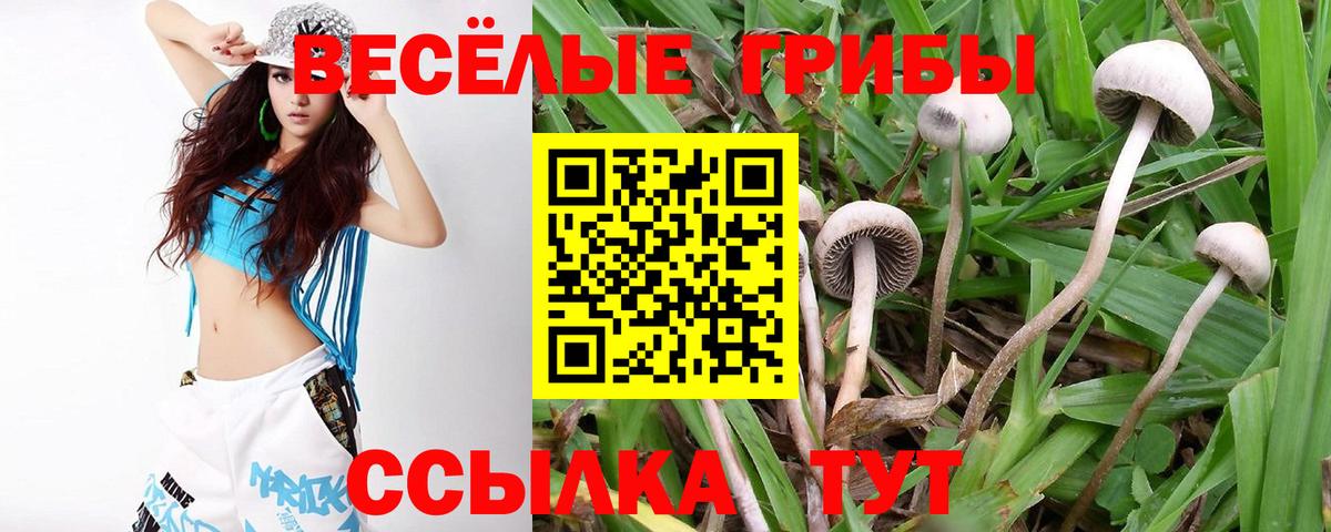 Галлюциногенные грибы Magic Shrooms Красноуфимск