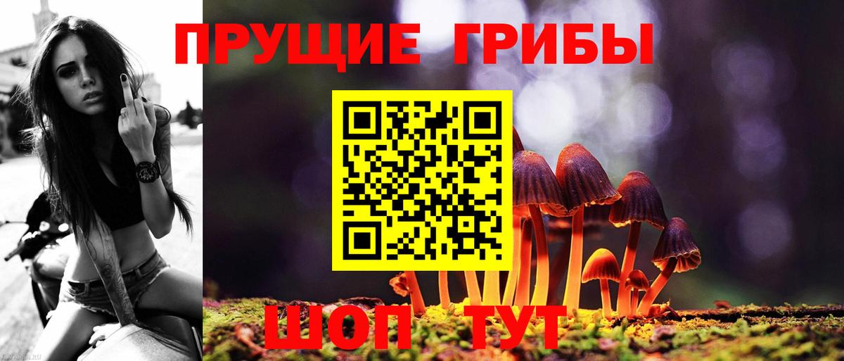 Красноуфимск  Псилоцибиновые грибы Cubensis  Вход с VPN  Галлюциногенные грибы ЛСД 